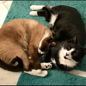 Meet your Posher, Lynne